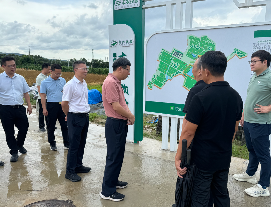 東江牧歌模式獲惠州市農(nóng)業(yè)農(nóng)村局局長張文正高度認可，智慧農(nóng)業(yè)成惠州農(nóng)業(yè)發(fā)展亮點