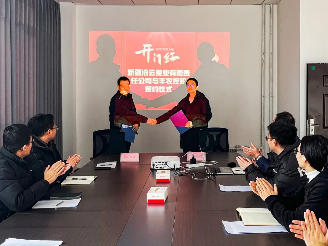 豐農控股農服業(yè)務落地新疆，將打造紅棗產業(yè)轉型升級示范標桿
